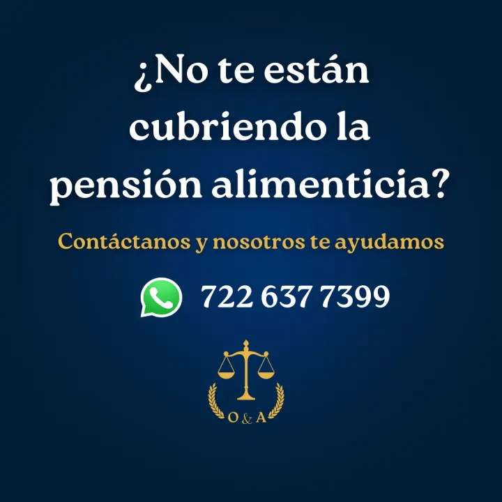 Serie informativa sobre pensión alimenticia, lámina 6 de 23.