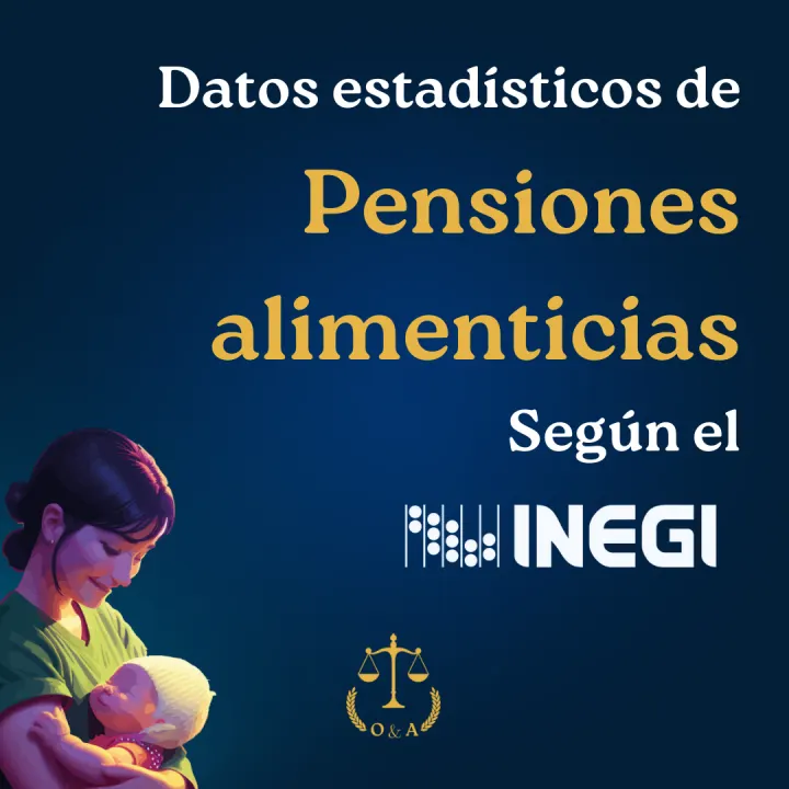 Serie informativa sobre pensión alimenticia, lámina 7 de 23.