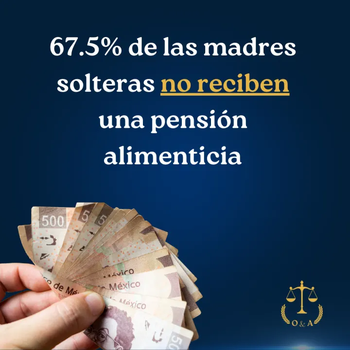 Serie informativa sobre pensión alimenticia, lámina 8 de 23.