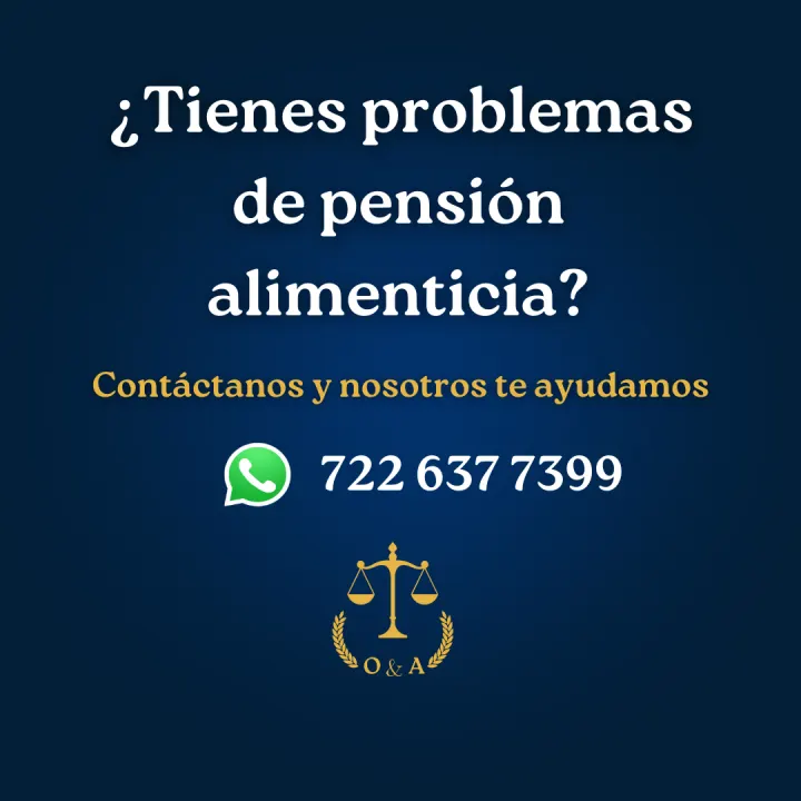 Serie informativa sobre pensión alimenticia, lámina 11 de 23.