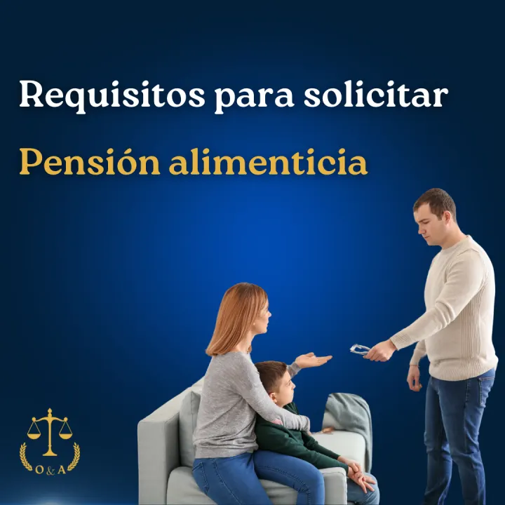 Serie informativa sobre pensión alimenticia, lámina 12 de 23.