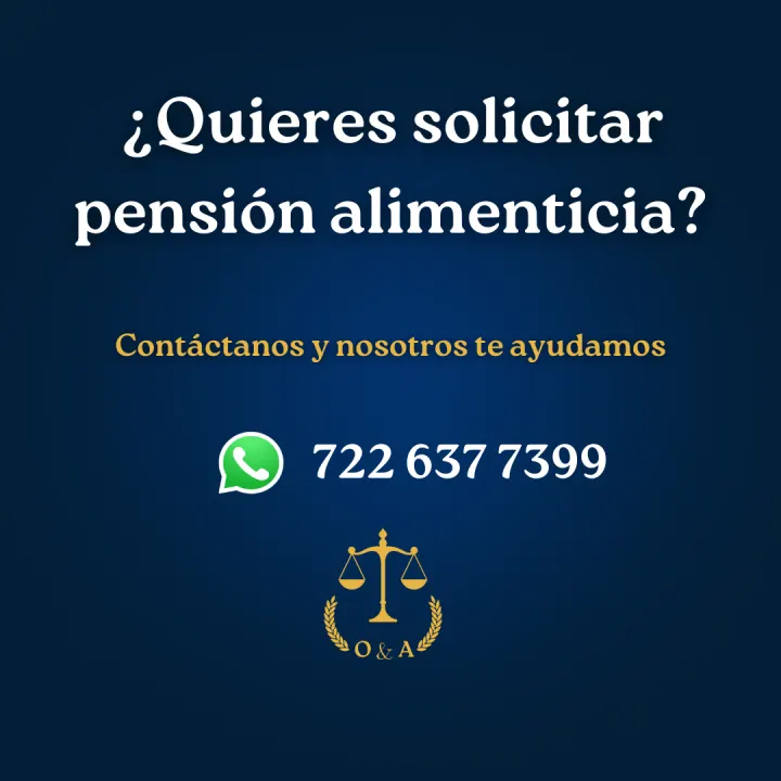 Serie informativa sobre pensión alimenticia, lámina 15 de 23.