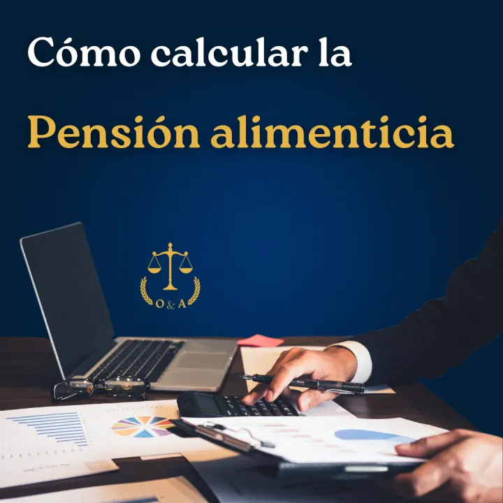 Serie informativa sobre pensión alimenticia, lámina 16 de 23.