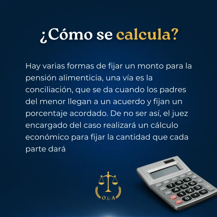 Serie informativa sobre pensión alimenticia, lámina 17 de 23.