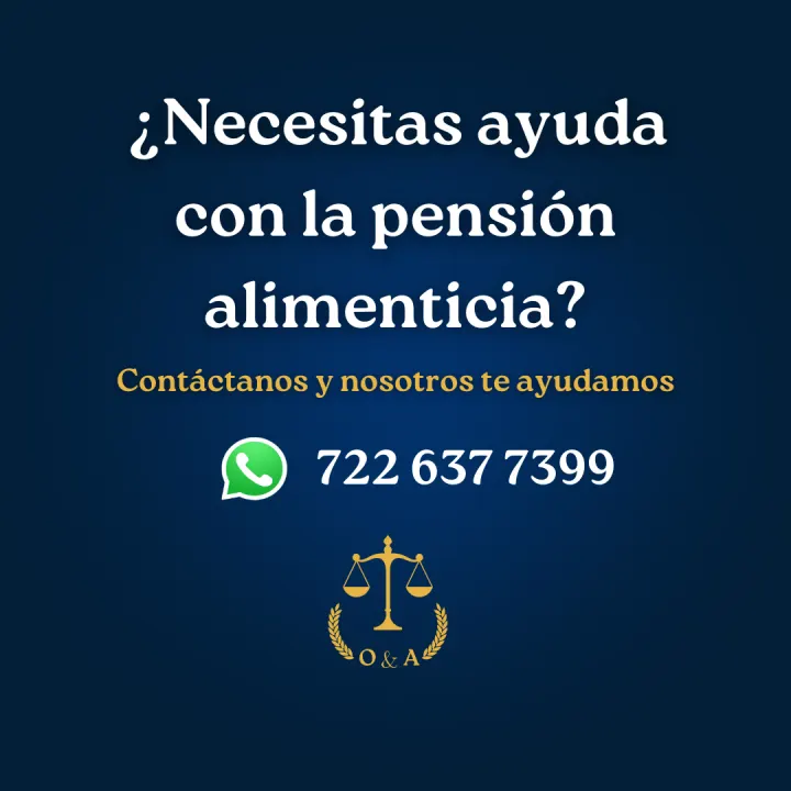 Serie informativa sobre pensión alimenticia, lámina 19 de 23.