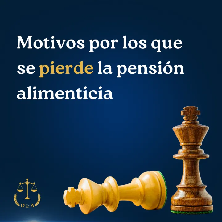 Serie informativa sobre pensión alimenticia, lámina 20 de 23.