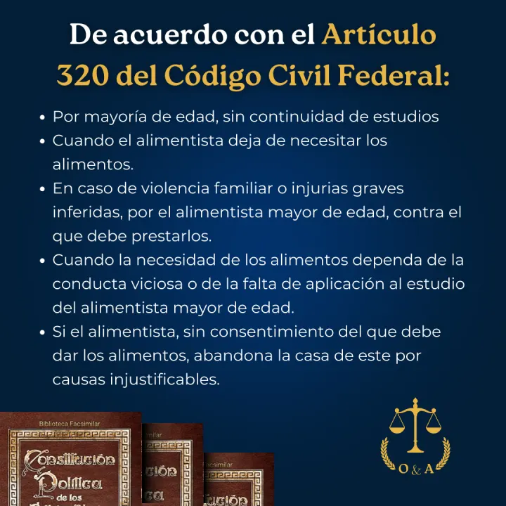 Serie informativa sobre pensión alimenticia, lámina 22 de 23.