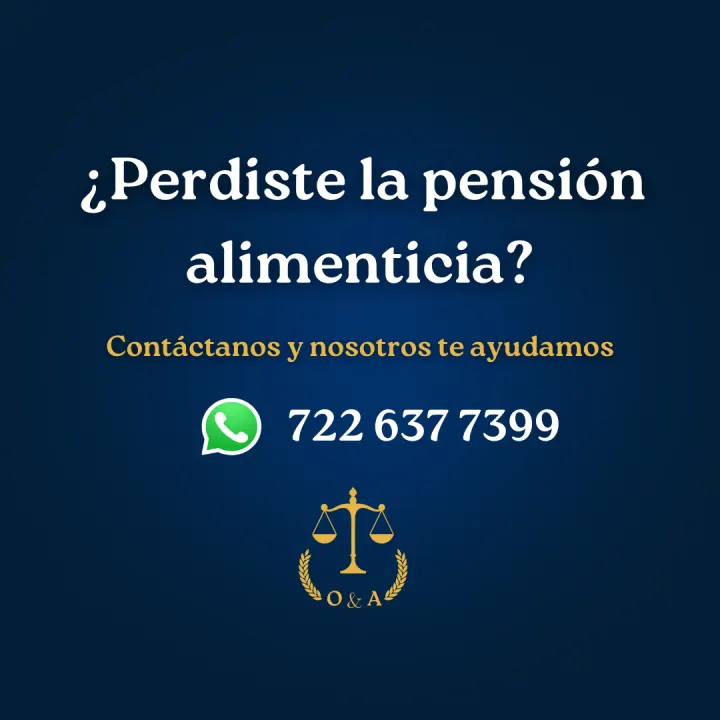 Serie informativa sobre pensión alimenticia, lámina 23 de 23.
